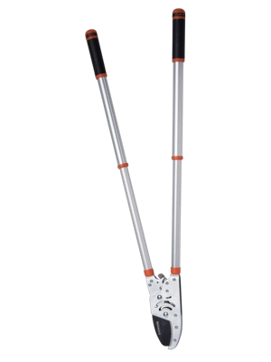 Telescoping Ratchet Loppers