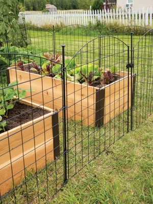 Tall Chicken Wire Critter Fence with Gate