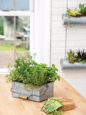 Organic Kitchen Herbs Caddy Growing Kits