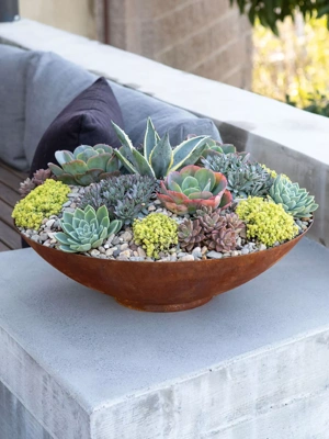 Veradek Corten Steel Round Bowl Planters