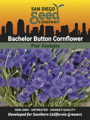 Cornflower, Bachelor Button Seeds