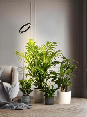 Adjustable Floor Plant Lamp