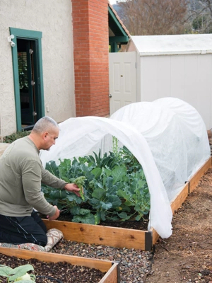 4' x 8' Greenhouse Dome for Raised Garden Bed