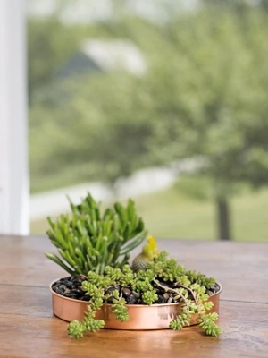 Small Round Copper Plant Tray, 10"