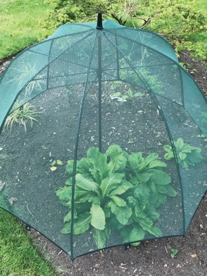 GardenSkill Pop N Crop Plant Umbrella