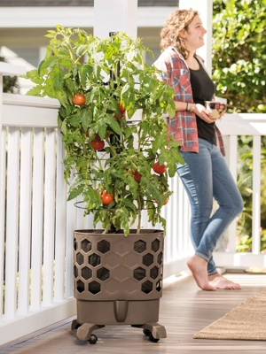 Gardener's Revolution® Tomato Planter