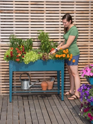 Demeter Elevated Raised Bed