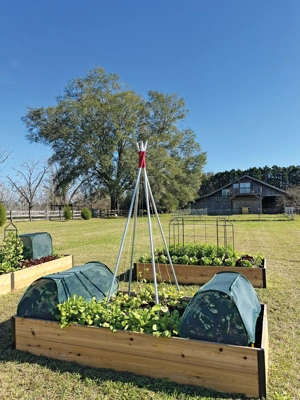 Insect and Pest Net Row Protector