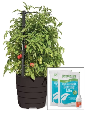Gardener’s Victory Self-Watering Planter Garden Kit