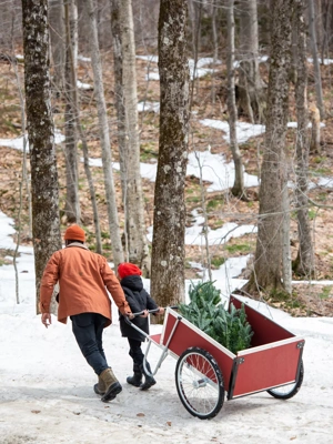 Large Gardener's Supply Cart