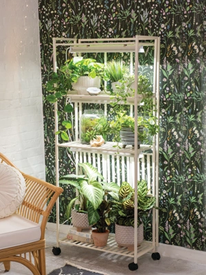 Grow lights as recommended by house plant enthusiasts — Green Rooms Market