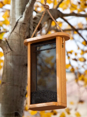 Spruce Creek Tall Finch Feeder