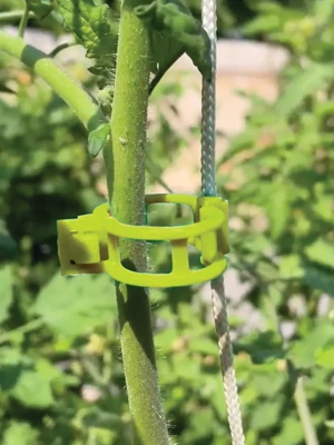 Intervale Garden Row Marking Twine and Pegs, Gardeners.com