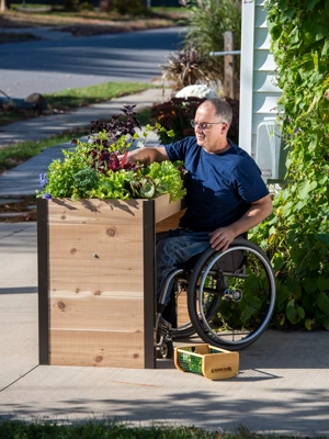 Wheelchair Accessible Elevated Cedar Garden Bed