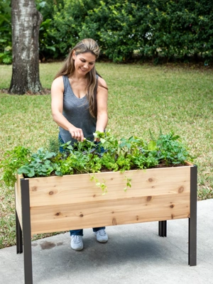 Self-Watering Elevated Cedar Planter Box, 2 x 4