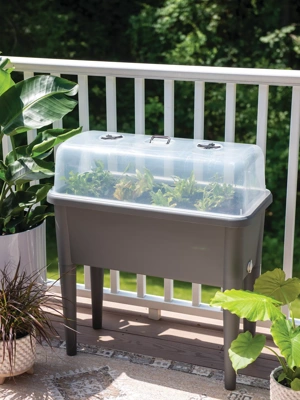 Self-Watering Standing Salad Planter with Cloche