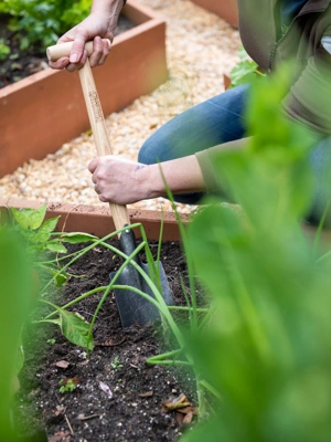 Gardener’s Lifetime Perennial Spade with Short T-Handle