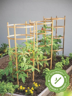 Bamboo Tomato Cages, Set of 3