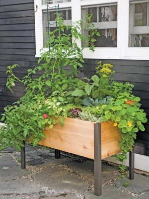 Elevated Cedar Planter Box, 2' x 4'