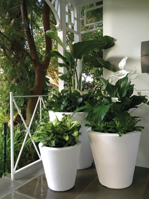 Dot TruDrop Self-Watering Planters