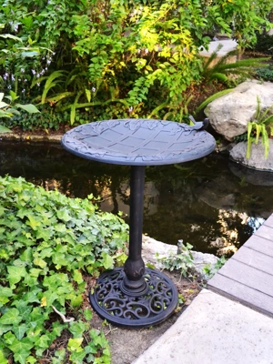 English Ivy Birdbath