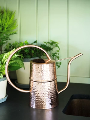 Copper Indoor Watering Can