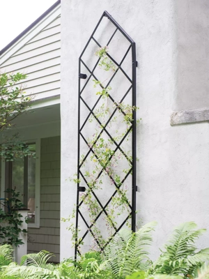 Lattice Gable Wall Trellis