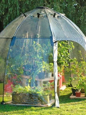 Sunbubble Greenhouse