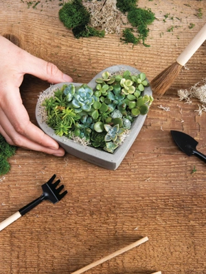 Heart-Shaped Concrete Tabletop Planter