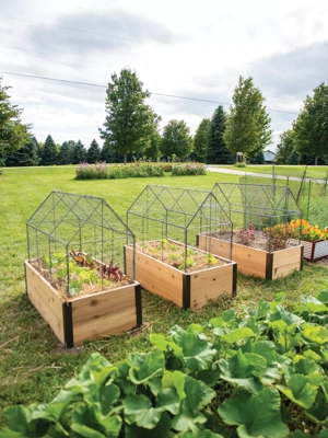 Chicken Wire Crop Coop