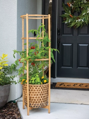 Elevated Bamboo Tomato Planter and Trellis