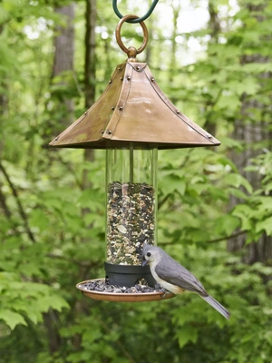 Tractor supply outlet bird feeder pole