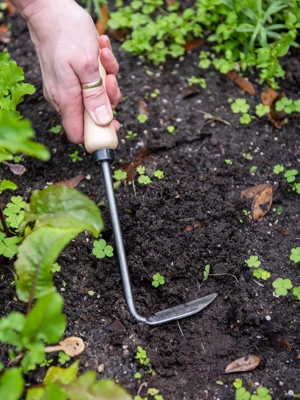 Gardener's Lifetime Cape Cod Weeder, Right-Handed