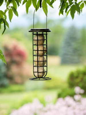 Suet Ball & Feeder Combo Set