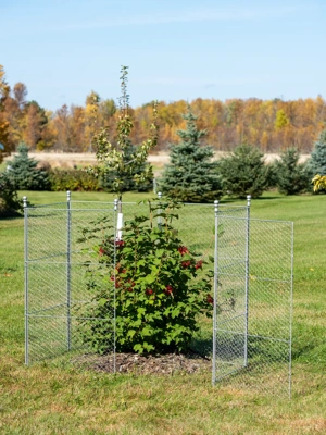 Using Garden Fencing - Veggie Gardening Tips