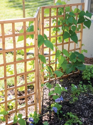 Bamboo Zig-Zag Trellis 24" x 36"