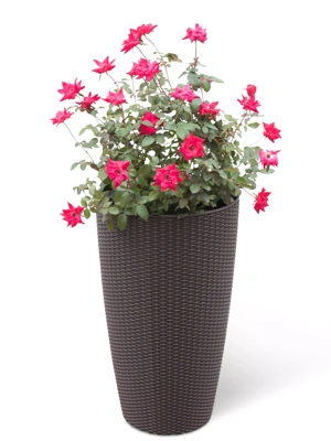 Weave Self-Watering Round Tall Planter, 12-1/2"