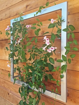 Ina Modern Wall Trellis Jr.