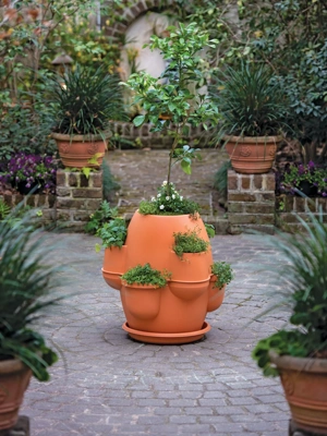 Oasis Tuscan Multi-Pot Planter