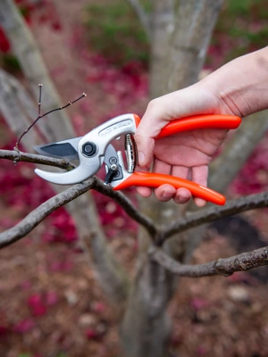 Pruners and Horticultural Shears — English Garden Supplies