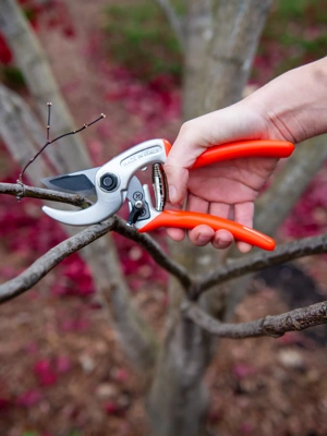 Pocket Snips - Orange - Herb Tools | Gardener's Supply Company