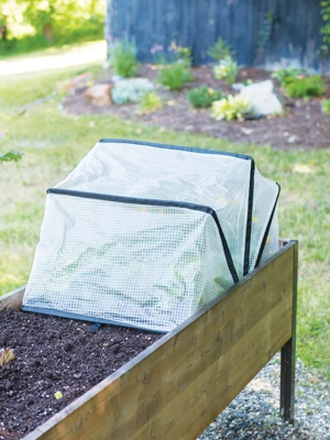 ANC POP 3 Pack Pop Up Mesh Plant Cover, Plant Protector for Raised Garden &  Flower Bed, Net Cage Plant Guard for Fruits, Vegetables, Seedlings and