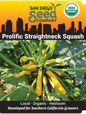 Prolific Straightneck Summer Squash Organic Seeds
