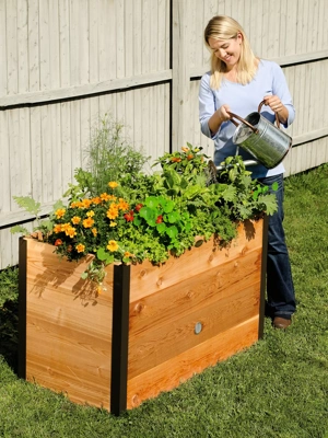 Elevated Cedar Raised Bed, 2' x 4'