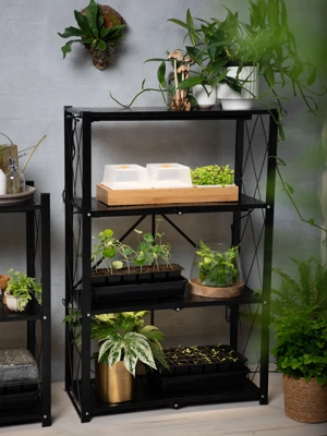 Folding 3-Tier Grow Shelf with Plant Lights