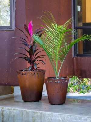 Corten Leaf Rim Planter