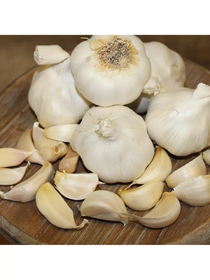 Silverskin Italian Late Garlic