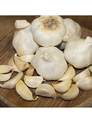 Garlic, Silverskin Italian Late, 3 Bulbs