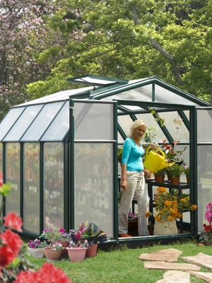 Canopia® by Palram Hobby Gardener Greenhouse, 8'