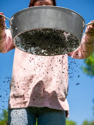 Gardener's Compost Soil Sifter